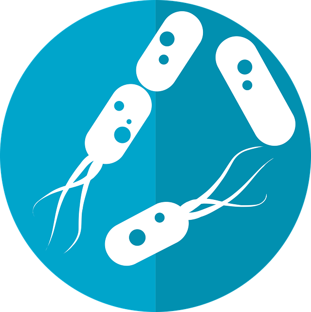 Mikrobiom jelitowy a choroby autoimmunologiczne